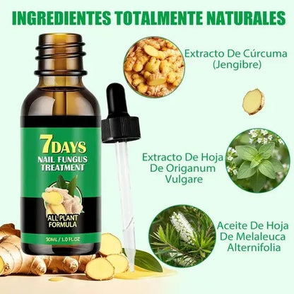 Ingredientes naturales: extracto de cúrcuma y jengibre, orégano y aceite de árbol de té